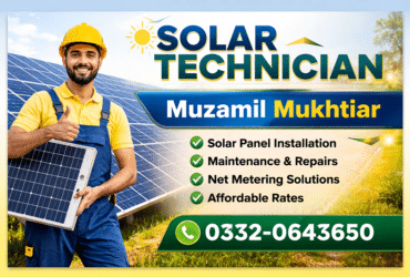 Expert Solar Technician