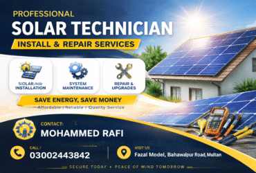 Expert Solar Technician